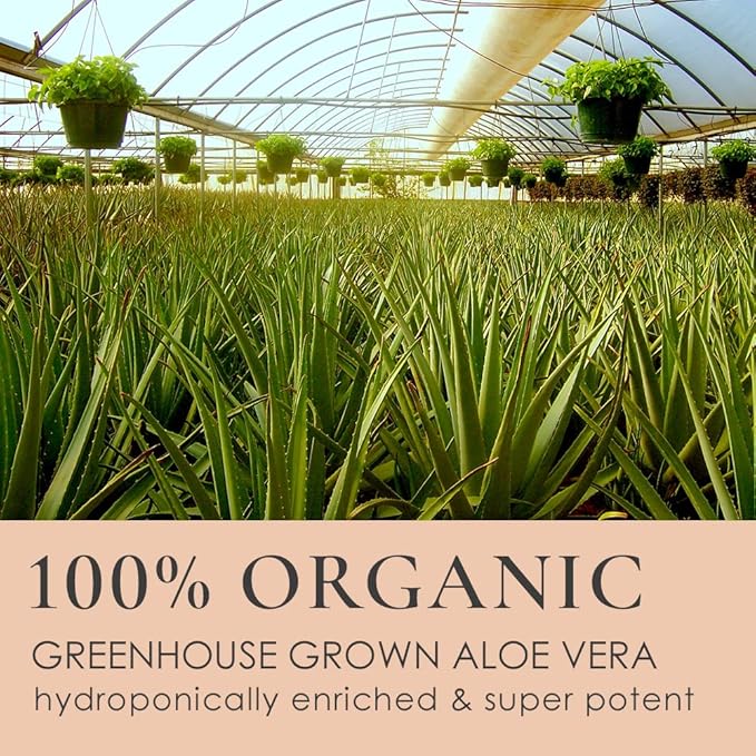 GUNILLA Glycolic Acid Night Cream - Refine, Resurface & Reduce Fine Lines, Wrinkles, Dark Spots, Congested Pores While Brightening Complexion. Gentle - Natural - Vegan (2 oz)