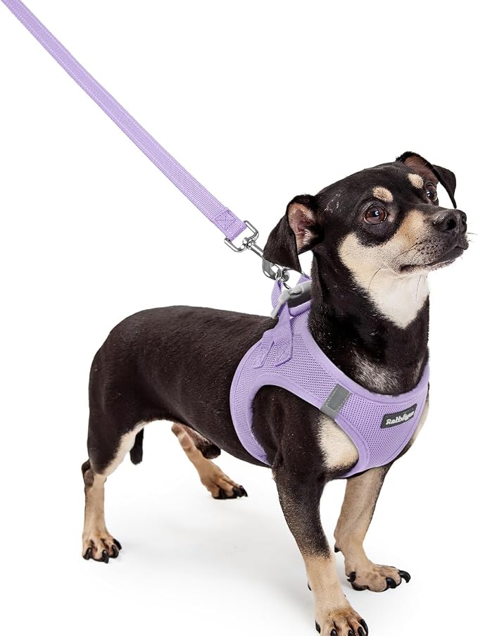 rabbitgoo Dog Harness Small Sized and Leash Set, Step-in Puppy Pet Vest | Light, Soft, Breathable Air Mesh, Easy on and Remove with Hook & Loop, Secure Reflective for Walking, Light Purple XXXS