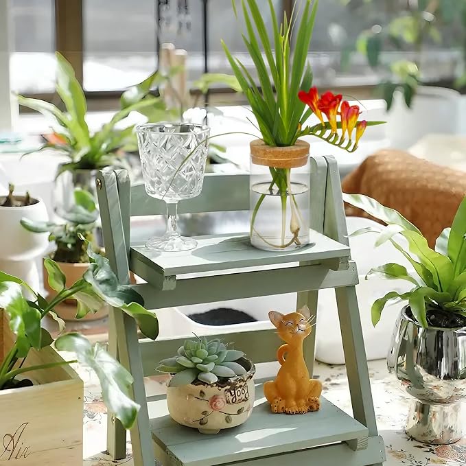Separated Desktop Glass Flower Vases with Wooden Saucers - Ideal Plants Propagation Stations for Living Room, Bedroom Decoration,Home Decor (9)