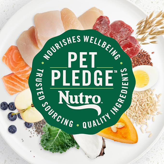 Nutro Ultra Small Breed Adult Dry Dog Food, Chicken, Lamb & Salmon, 3.5 lb | High-protein trio, Non-GMO, no corn, wheat, soy, 14 superfoods blend, Omega 3 & 6 fatty acids, essential antioxidants