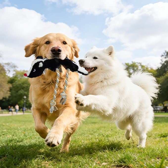 No Stuffing Rope 2-Pack Dog Toys, Chew Toys for Medium, Large Pets