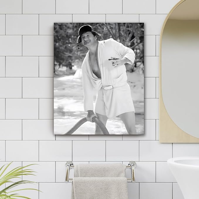 Funny Bathroom Canvas Wall Art, Toilet Paper Humor Poster, 24x30 Inch | Hilarious bathroom comedy decor and modern toilet artwork, gag gift for home, guest bath or office, Humor Style-07