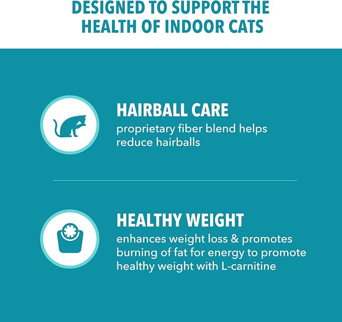 IAMS Proactive Health Indoor Dry Cat Food, Salmon, 7 lb | Veterinarian-recommended, #1 ingredient real salmon, reduces hairballs, supports healthy weight, boosts immune system