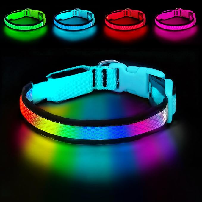 LED Dog Collar, Light Up Dog Collar,for Night Walking(Large,Blue) | Adjustable,Bright RGB 7 Colors Light Glowing Collar,Waterproof,Nylon,Soft,For Medium and Large Dogs,USB C to Charge