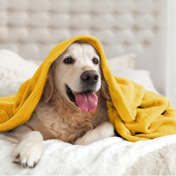 BEDELITE Fleece Blanket Soft Plush Queen Size Bed Blanket Yellow 90"x90" | Ultra Soft Fleece, Plush Microfiber, Lightweight Warmth, All Season Comfort, Fade Resistant, Machine Washable,Perfect for Bed