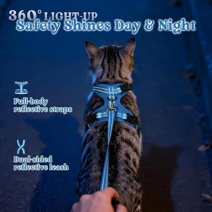 rabbitgoo Cat Harness and Leash, Easy-on with Neck Buckle, Royal Blue
