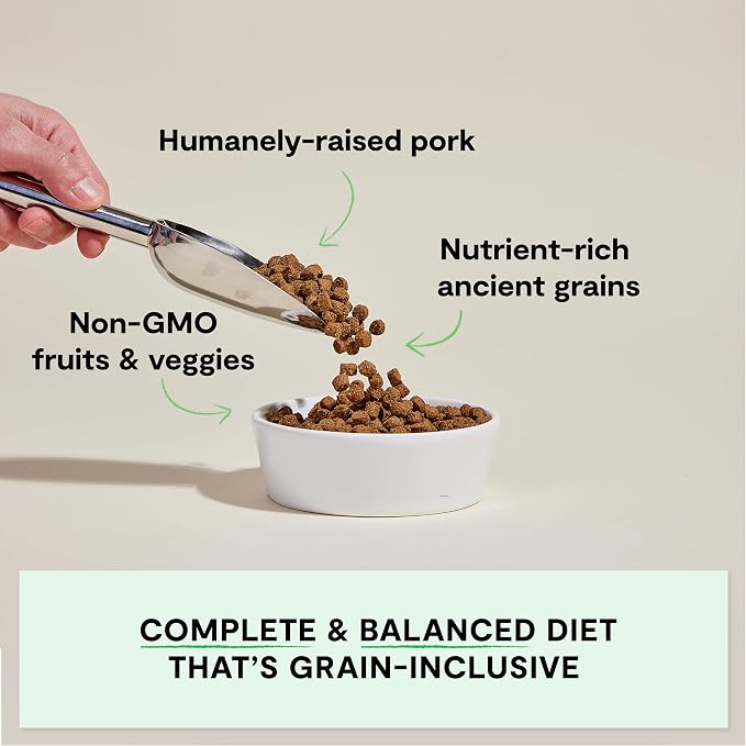 Open Farm Ancient Grains Dry Dog Food, Farmer's Table Pork Kibble, 4lb Bag | All Life Stages, All Breed Sizes, Protein-Rich & Nutrient Dense, 100% Traceable Ingredients, Non-GMO Fruits & Veggies.