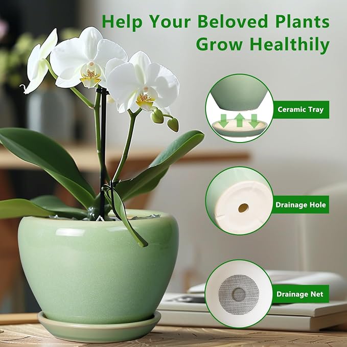 Ceramicfor 8 Inch Plant Pot - Ceramic Planter for Outdoor Plants Indoor Plant Pot with Drainage Hole and Saucer Mid-Century Round Planter Flower Pot for House Garden Green
