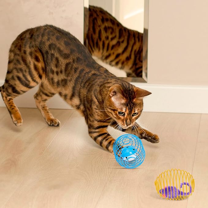 Jecery 5 Pcs Cat Toys Spring,Mouse and Bell,Multicolor