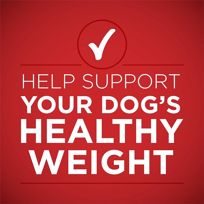 Purina ONE Plus Healthy Weight Wet Dog Food, Tender Cuts, (12) 13oz Cans | Lamb & Brown Rice Entree in gravy helps support dog's healthy weight, high protein recipe made with real lamb and no fillers
