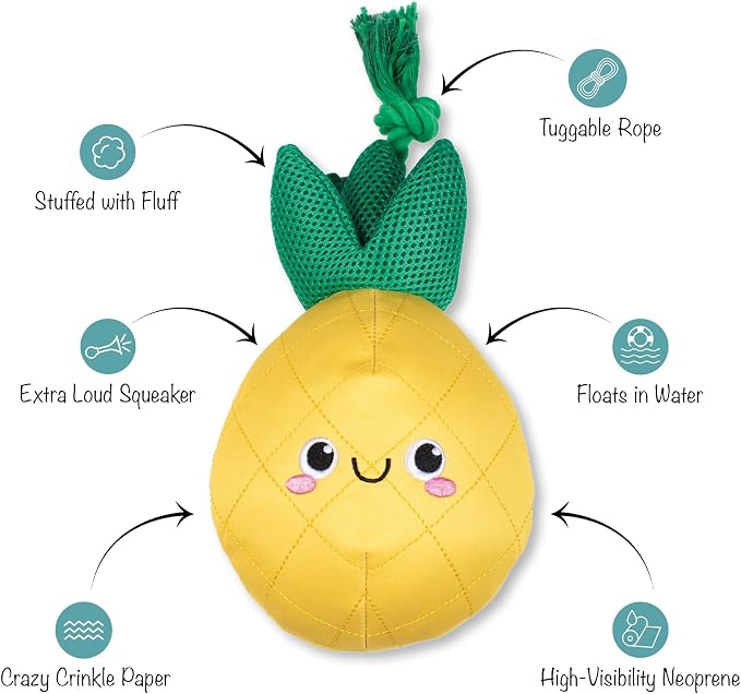 Fringe Studio Floating Dog Toy with Rope The Water is JUST Pine, Pet Shop Collection (640015)