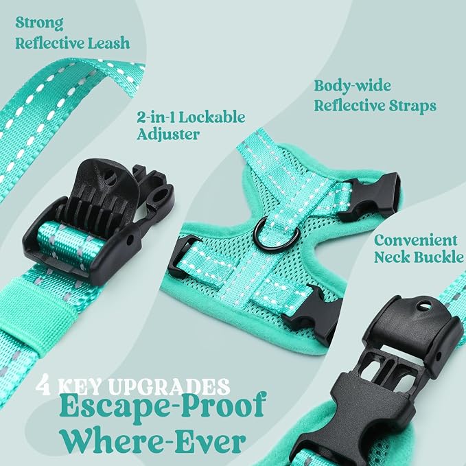 rabbitgoo Cat Harness and Leash, Easy-on with Neck Buckle, Green