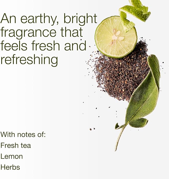 Bath & Body Works White Tea & Sage 3-Wick Candle - Scented Candle for At-Home Use - Long-Lasting, Room-Filling Fragrance - High Fragrance Oil Concentration - Soy Wax Blend - 2-Pack