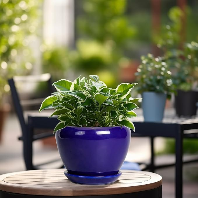 Ceramicfor 6 Inch Plant Pot - Ceramic Pots for Plants Succulent Pot with Drainage Hole and Saucer Round Planter Outdoor Flower Pot for Herb Snake Plants Blue