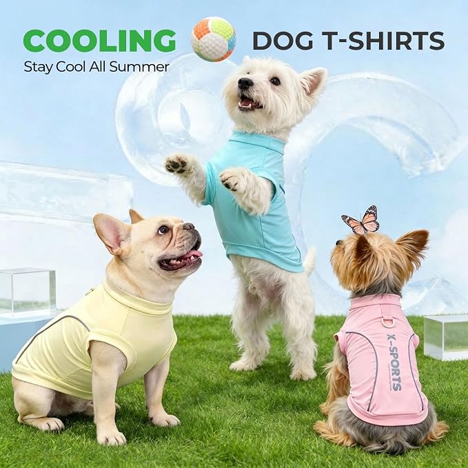 ABRRLO 3-Pack Reflective Dog Shirts for Small Medium Dogs Sun Protection Lightweight Puppy Cat T-Shirt with D-Ring,Soft Stretchy Dog Cooling Vest Cute Puppy Clothes Girl Summer Pet Outfits