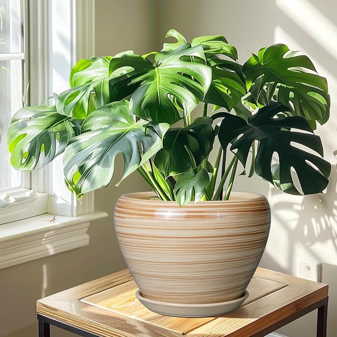 Ceramicfor Ceramic Pot for Plant 10 Inch - Planter for Outdoor Plants Indoor Plant Pot with Drainage Hole Large Planter Round Flower Pot for House Patio Garden Yellow