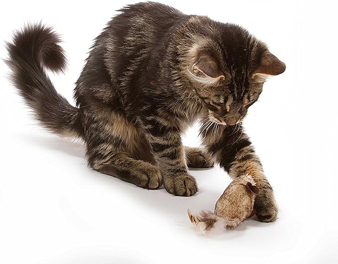 OurPet's Play-N-Squeak Twice the Mice Cat Toy, 2 Pack, with Catnip Inside | Interactive Catnip Toy with Real Mouse Electronic Sound