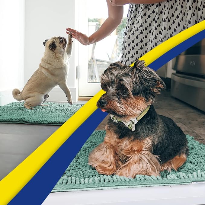 Muddy Mat® | Super Water Absorbent Door Mat Indoor, Microfiber Quick Dry Chenille Entryway Rug,Slip Resistant Front Door Mat,Indoor Mats for Entryway,Machine Washable Pet Rug, Seafoam Green 30"x19"