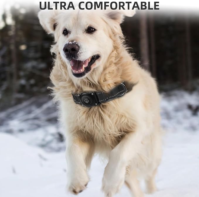 Upgrade Dog Collar with AirTag Holder, IP68 Waterproof, Ebony, XL | Built-in Water Resistant AirTag holder, 1000D Nylon, Reflective Stitching for Night Visibility, Soft padding for Comfort