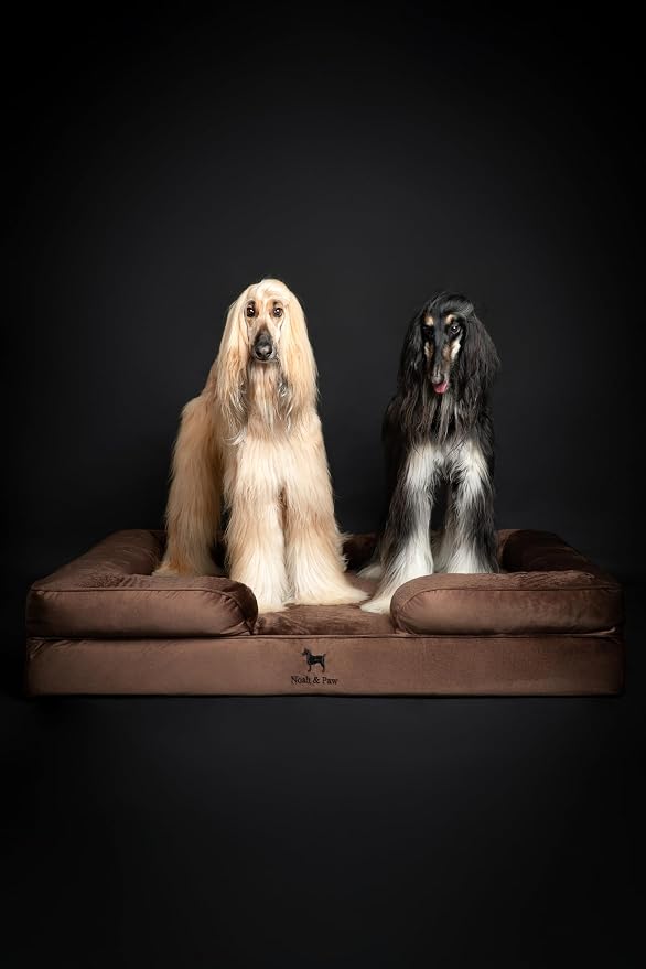 NOAH & PAW Giant Dog Bed XXL, 55x45x11 Inch, Orthopedic Dog Beds, Eggshell Memory Foam Infused with Cooling Gel, Inner Cover, Water Resistant, Machine Washable (Velvet Sofa Collection)