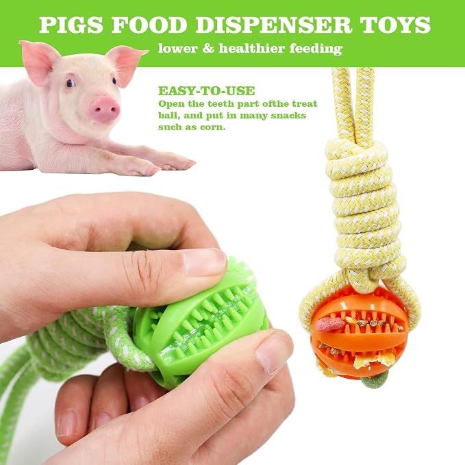Mini Pig Supplies, 3 Pack Treat Dispenser Ball Toys for Pigs, Plastic Food Foraging Ball with Rope for Pigs, Pig Toys for Pet Pig