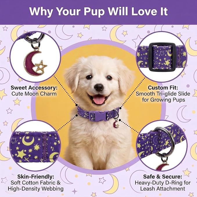 Cute Dog Collar, Moon Dog Collar for Large Dogs, L