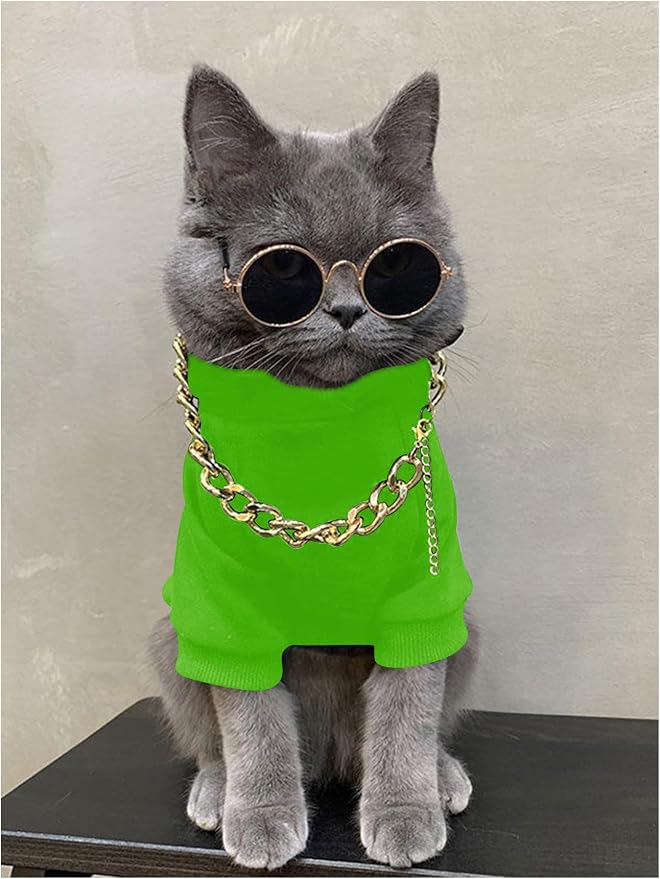 3Pcs Dog Hoodie Cat Apparel Dog Custume Set with Necklace and Sunglasses Pet Clothes for Puppy Small Medium Dogs Cats Green X-Small