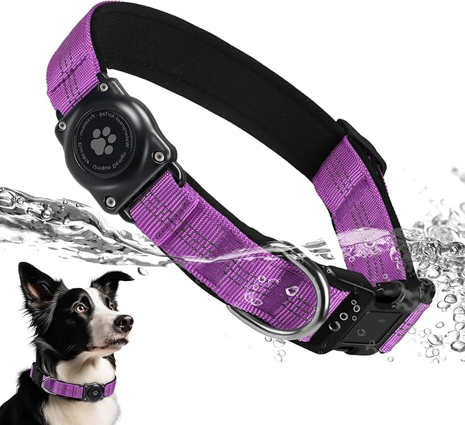 Upgrade Dog Collar with AirTag Holder, IP68 Waterproof, Purple, XS | Built-in Water Resistant AirTag holder, 1000D Nylon, Reflective Stitching for Night Visibility, Soft padding for Comfort