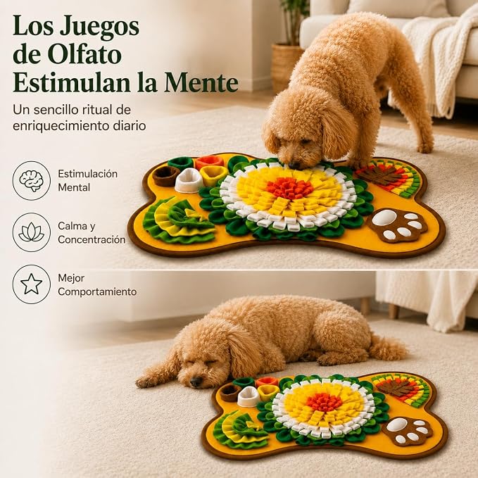 Snuffle Mat for Dogs, Interactive Feeding Mat & Slow Feeder Puzzle Toy for Small & Medium Dogs, Nosework Training Mat, Treat Dispensing Enrichment Toy, Washable Pet Mat