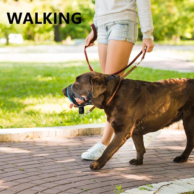 Dog Head Collar, Fabric Padded Head Collar for Dogs to Prevent Pulling, Head Leash for Small Medium Large Dogs Walking(L,Lake Blue)