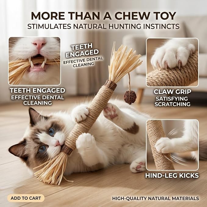 12 Pack Silvervine Cat Chew Sticks - Natural Kitten Toy for Cats