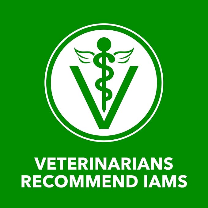 IAMS Proactive Health Chunks in Gravy Wet Dog Food, Lamb, 13 oz, 12 Pack | Real lamb, Omega 6 fatty acids, 100% complete & balanced, no artificial flavors or soy, supports healthy skin & coat, canned