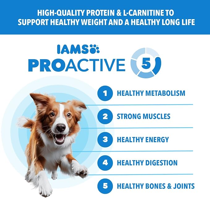 IAMS Proactive Health Healthy Weight Dry Dog Food, Chicken, 38.5 lb | Real chicken #1 ingredient, L-Carnitine for metabolism, strong muscles, no fillers or artificial flavors, vet-recommended