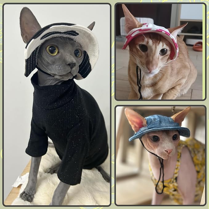 DENTRUN Cat Bucket Hat with Ear Hole, Cotton Birthday Bonnet for Small Pets | Breathable cotton, Adjustable Secures fit, For birthday Party, For small cats, daily cute photos