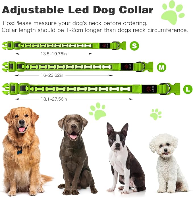 Flashseen LED Dog Collar Light Up USB-C Rechargeable (Green, Small)
