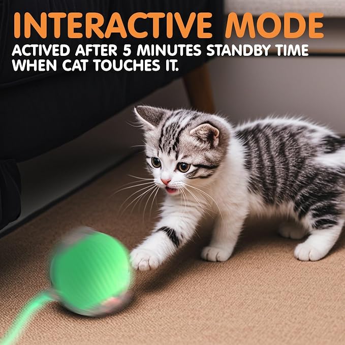Rocfish Durable Interactive Cat Toys for Indoor Cats (Green, 01)