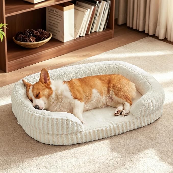 MIXJOY Orthopedic Dog Beds Large Sized Dog,Large Washable Dog Bed Waterproof Oval Dogs Bed with Removable Cover,Egg-Crate Foam Big Pet Bed Couch Sofa with Bolster Sides,Non-Slip Bottom,L 35"X25",White