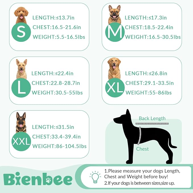Bienbee Dog Bathrobe, Super Absorbent for Small to Large Dogs, Green 2XL | Dog Robes with Soft Fleece, Warm & Cozy, Adjustable Fit, and Quick Drying Coat for Baths Swimming and Grooming