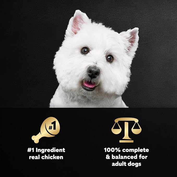 Cesar Wholesome Bowls Wet Dog Food, Chicken Recipe, 3 oz, 10 Count | Real chicken #1 ingredient, slow-cooked, 7 key ingredients, no by-products or artificial flavors, easy to digest