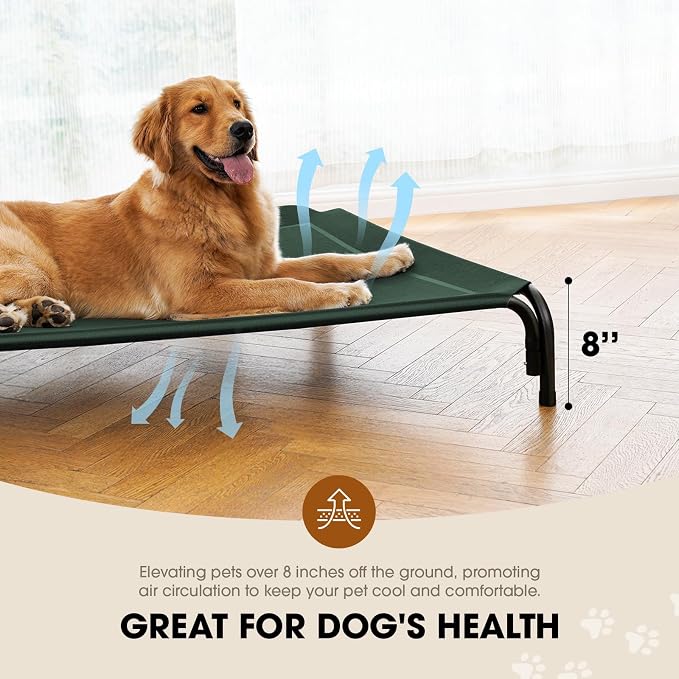Elevated Outdoor Elevated Dog Bed for Medium Sized Dogs, No-Tool Assembly. | Raised design promotes airflow. Tool-free assembly, easy-to-clean mesh, portable, with anti-skid feet. Indoor/outdoor use.