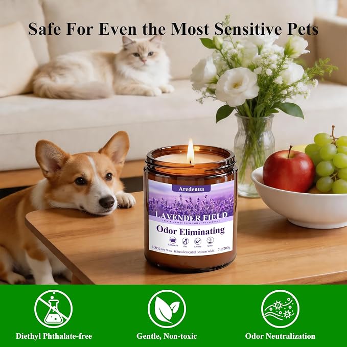 Lavender Odor Eliminating Candles | Eliminates 95% of Pet, Smoke, Food, and Other Smells – 7oz Soy Candle for Home Scented - Aromatherapy Stress Relief Scented Candles - Relaxing Gifts for Calm
