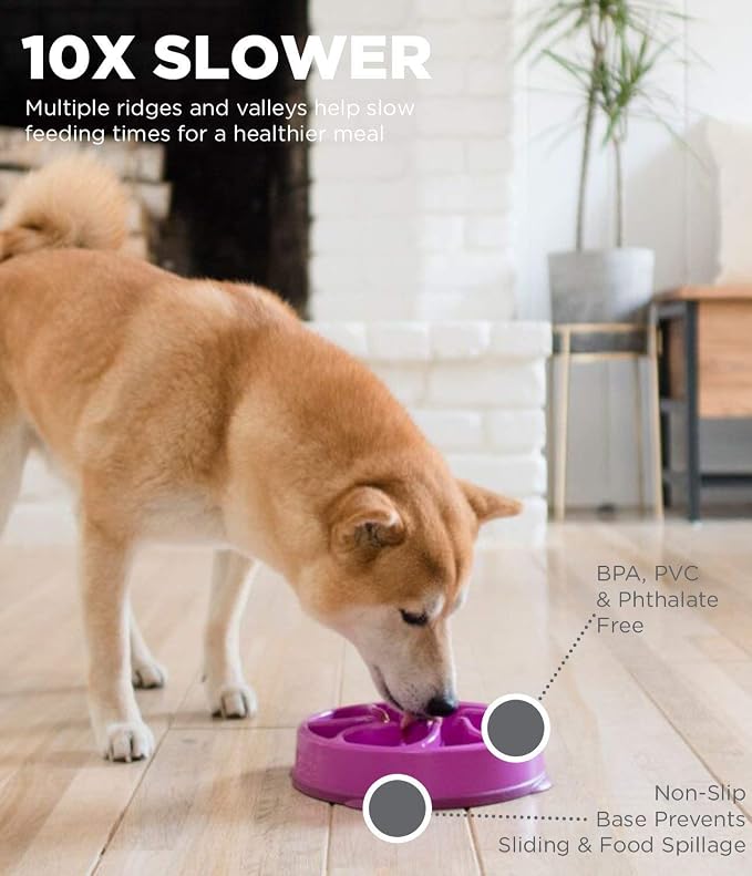 Outward Hound Fun Feeder Slo Bowl (Medium/Mini, Purple) and Outward Hound Nina Ottosson Dog Brick Interactive Treat Puzzle Dog Toy