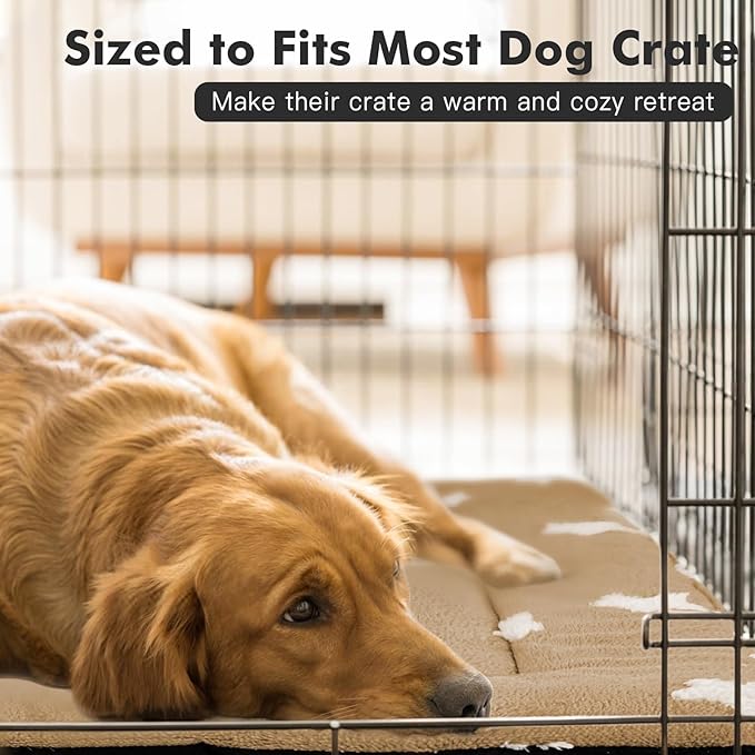 Mora Pets Cat Beds for Indoor Cats Washable Cat Mat Bed Flat Dog Crate Pad | Ultra Soft Cat Bed for Carrier, Puppy Crate Pad for Dog Cages Cozy Sleeping Liner, Small Cat Pillow Cushion Anti Slip 22 x 13