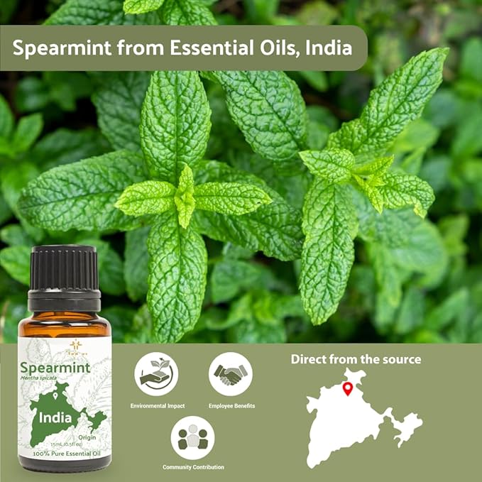 Spearmint Essential Oil - Direct from Essential Oils India - Steam Distilled - Aceite Esencial de Menta Verde for Aromatherapy, Massage, Diffuser, DIY Candle and Soap Making - 22lbs