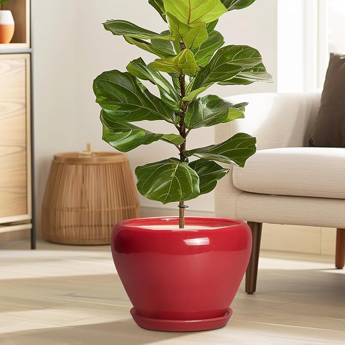 Ceramicfor 10 Inch Plant Pot - Ceramic Planter for Indoor Outdoor Plants, Glaze Modern Round Planter with Drainage Hole and Saucer, Gifts for Plant Lovers, Home Room Garden Decor, Red