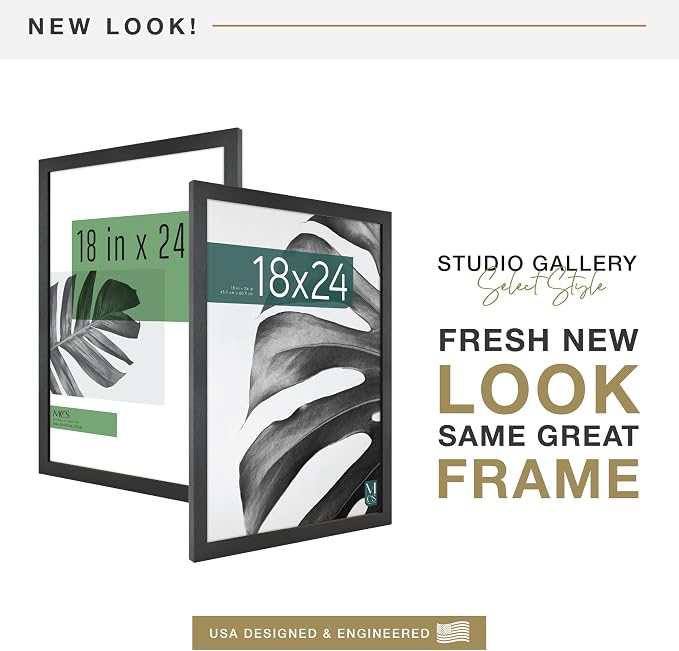 MCS Studio Gallery 18x24 Poster Frame Black Woodgrain Engineered Wood, Vertical & Horizontal Wall Hanging Large Picture Frame for Photos, Posters & Art Prints (1-Pack)