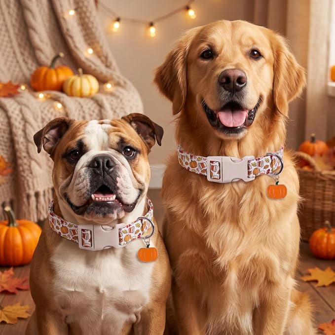 Fall Dog Collar, Medium Collar for Medium Girls Boys Dogs, M