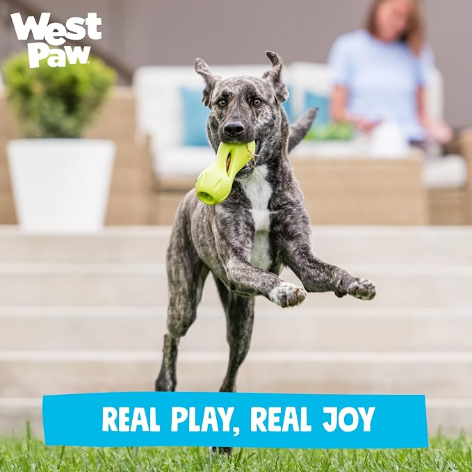 WEST PAW Qwizl Durable Zogoflex Dog Puzzle Toy for Mental Stimulation, and Enrichment - Treat Dispensing for Bully Sticks and Dental Sticks - Dishwasher Safe - Made in USA - Large - Tangerine