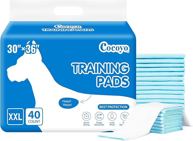 COCOYO Best Value Training Pads, 30"X36" , XXL - 80 Count,White