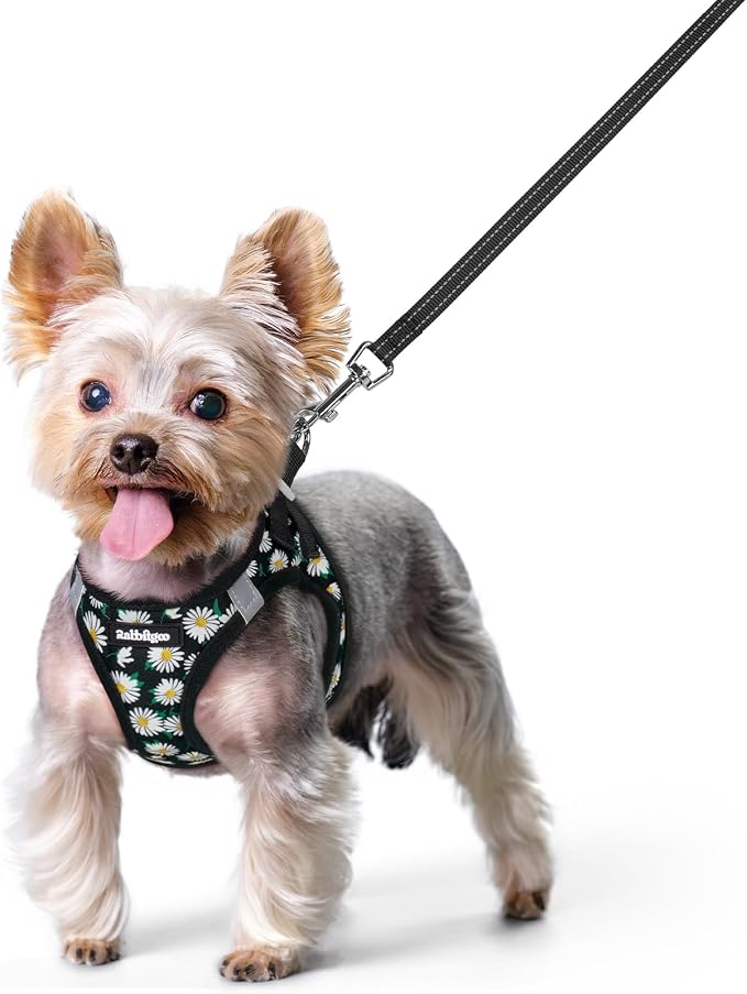 rabbitgoo Dog Harness Small Sized and Leash Set, Step-in Puppy Pet Vest | Light, Soft, Breathable Air Mesh, Easy on and Remove with Hook & Loop, Secure Reflective for Walking, Midnight Daisy XS